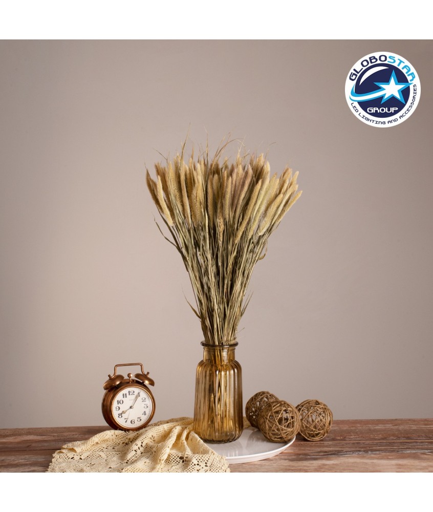 GloboStar® PENNISETUM 36503 Αποξηραμένο Φυτό Πεννήσιο - Μπουκέτο Διακοσμητικών Κλαδιών Μπεζ - Πράσινο Υ60cm - Σετ 100 τμχ